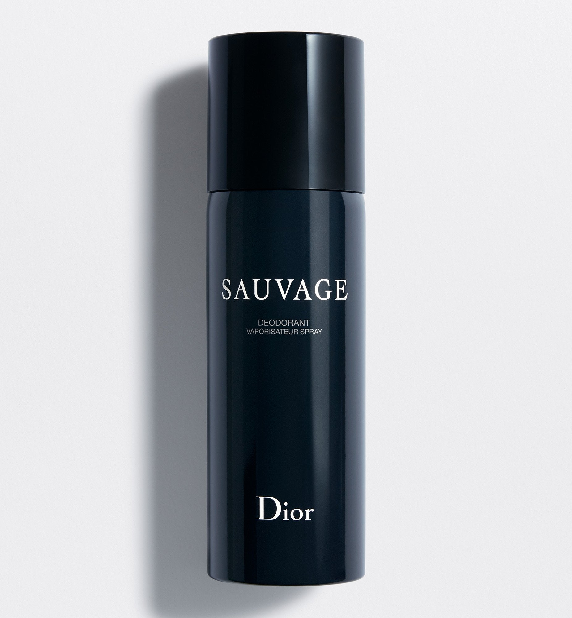 SAUVAGE DEODORANT