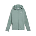 Puma Evostripe Full Zip Hoodie